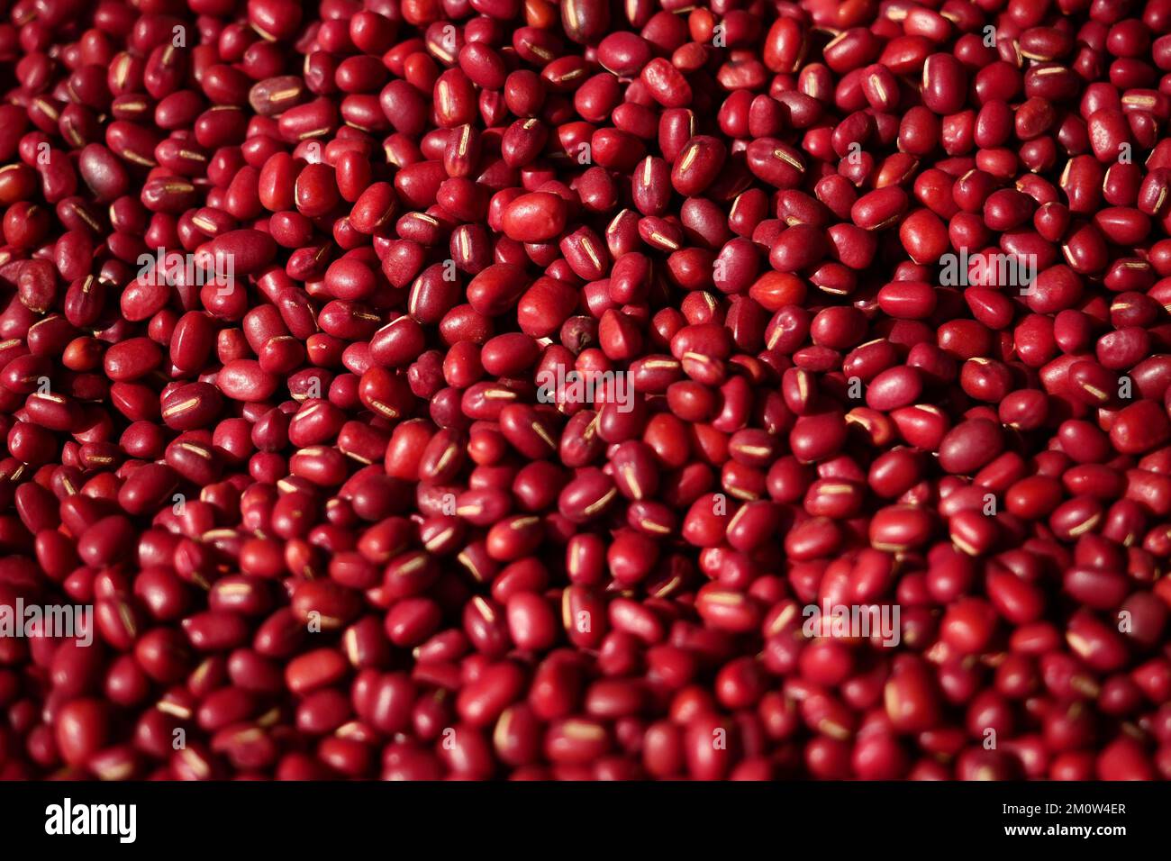 Adzuki Beans or Japanese Red Beans in nature background Stock Photo Alamy