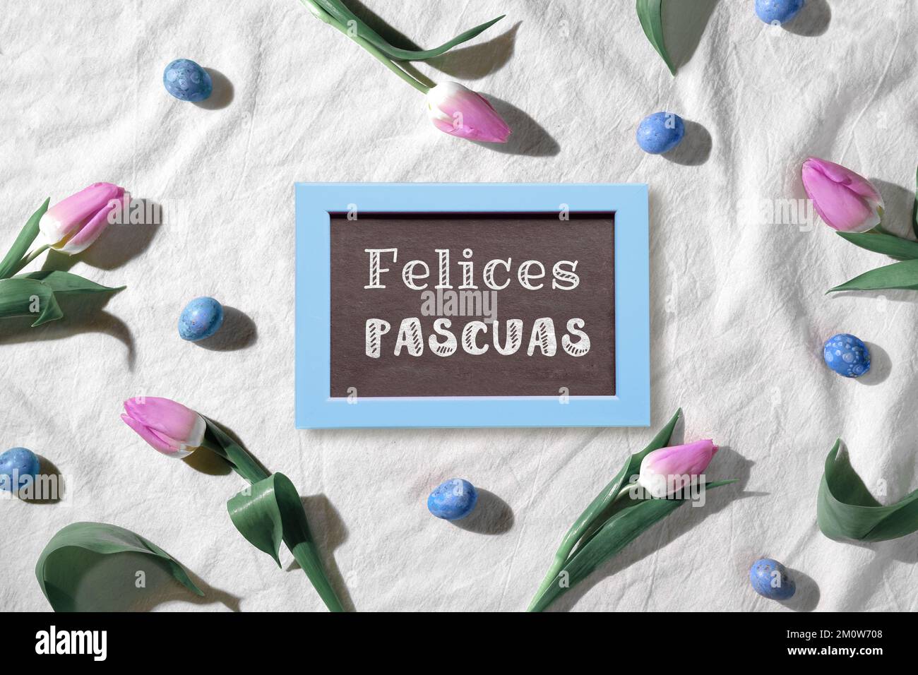 Easter background, pink tulips and quail eggs. Decorated background with blackboard. Text Felices Pascuas means Happy Easter in Spanish language. Top Stock Photo
