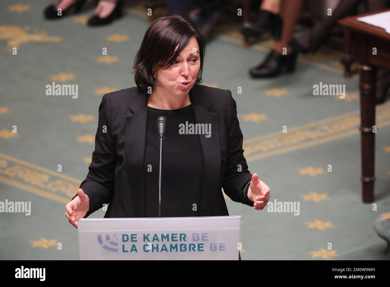 NVA's Yngvild Ingels pictured during a plenary session of the Chamber