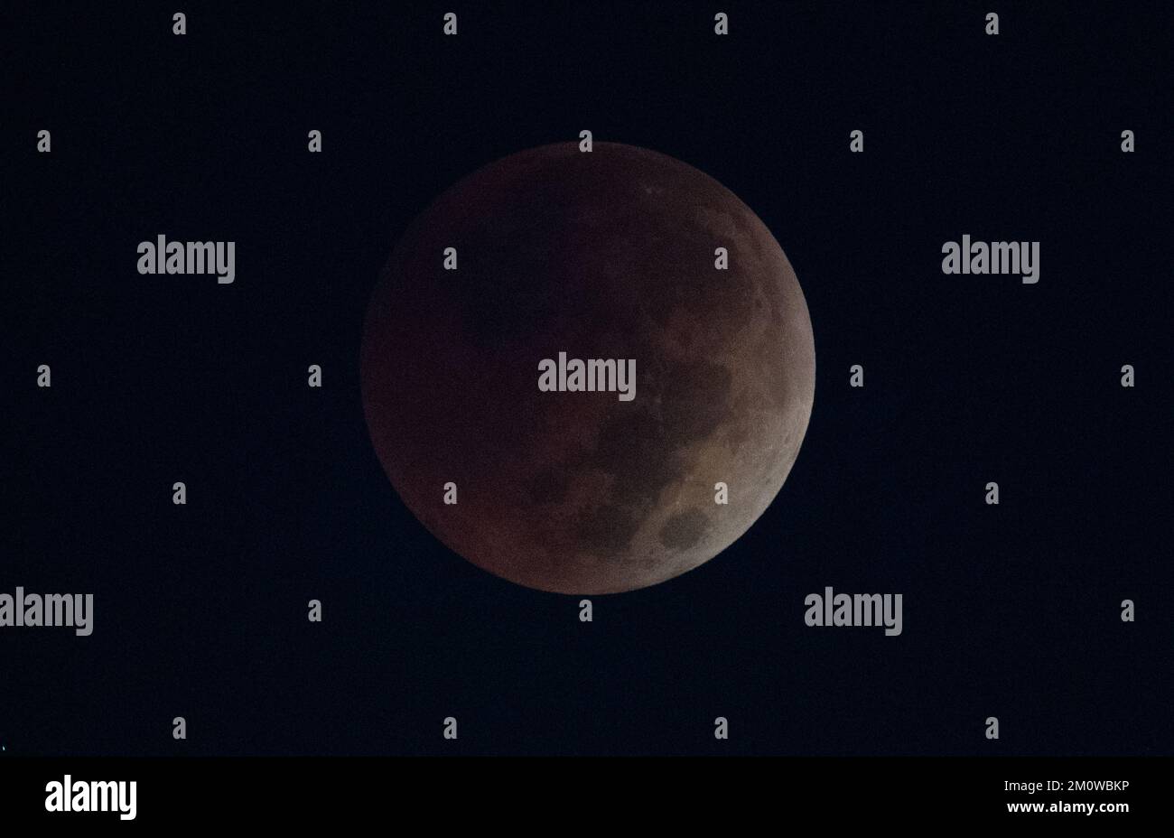 FLORIDA, USA - 08 November 2022 - The Moon is seen during a total lunar eclipse on Tuesday, November 8, 2022, at NASA’s Kennedy Space Center in Florid Stock Photo