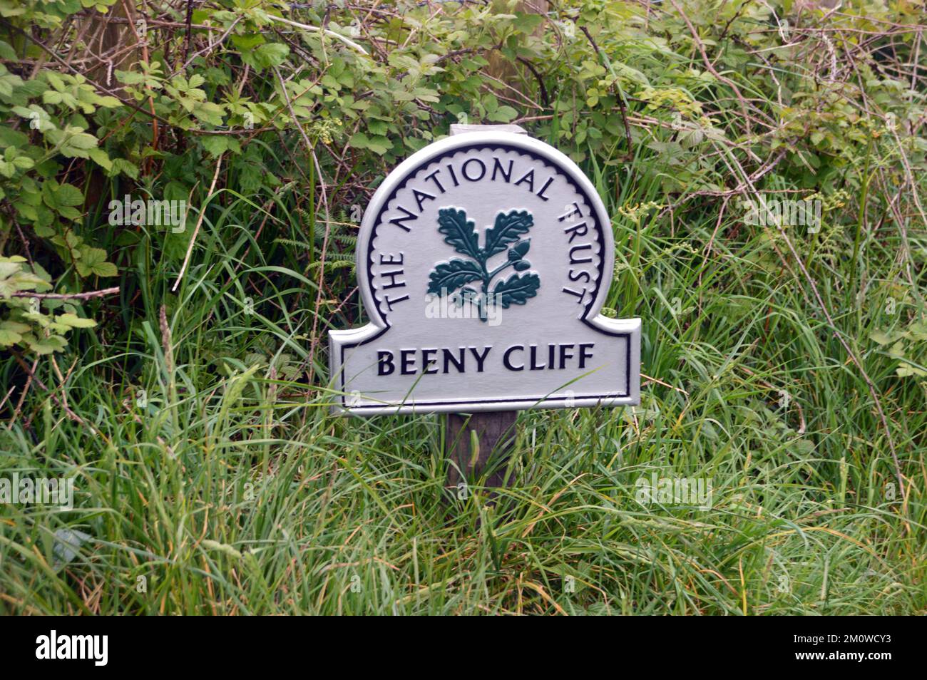 Metal National Trust Sign on a Wooden Post near Fire Break Point on Benny Cliff near Boscastle on the South West Coastal Path in Cornwall, England, UK. Stock Photo