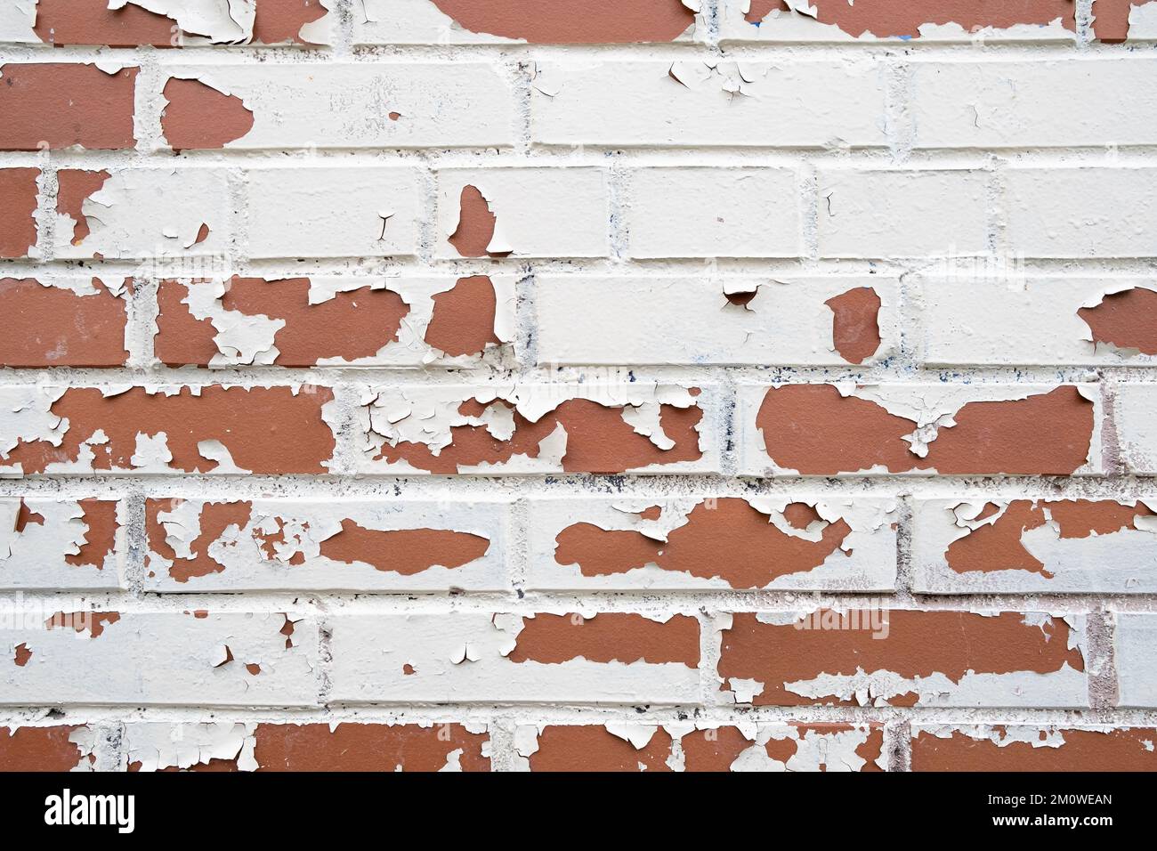 New red brick wall with peeling white paint. Abstract background. Place