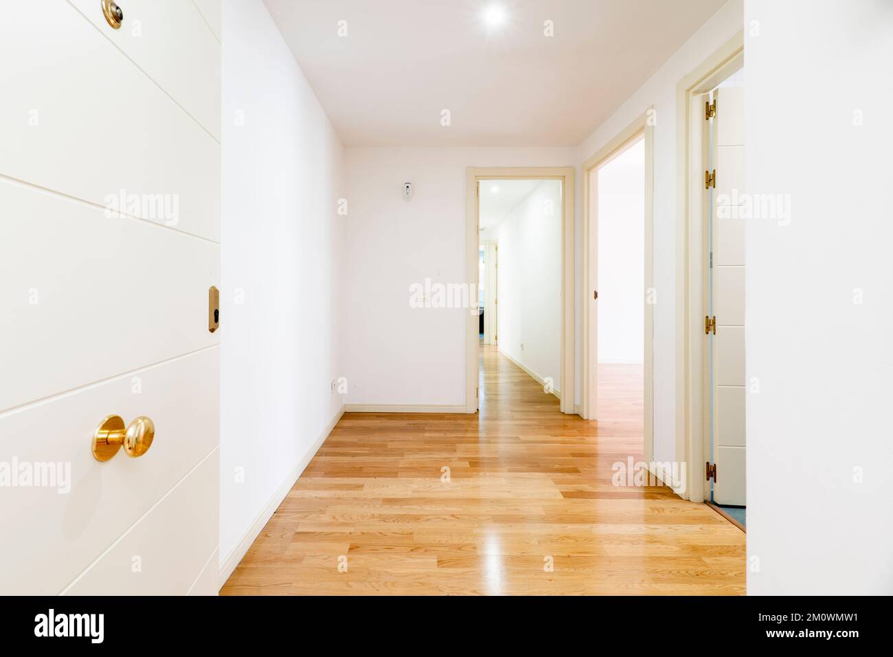 Hall and distributor of a house with armored access door, and access to