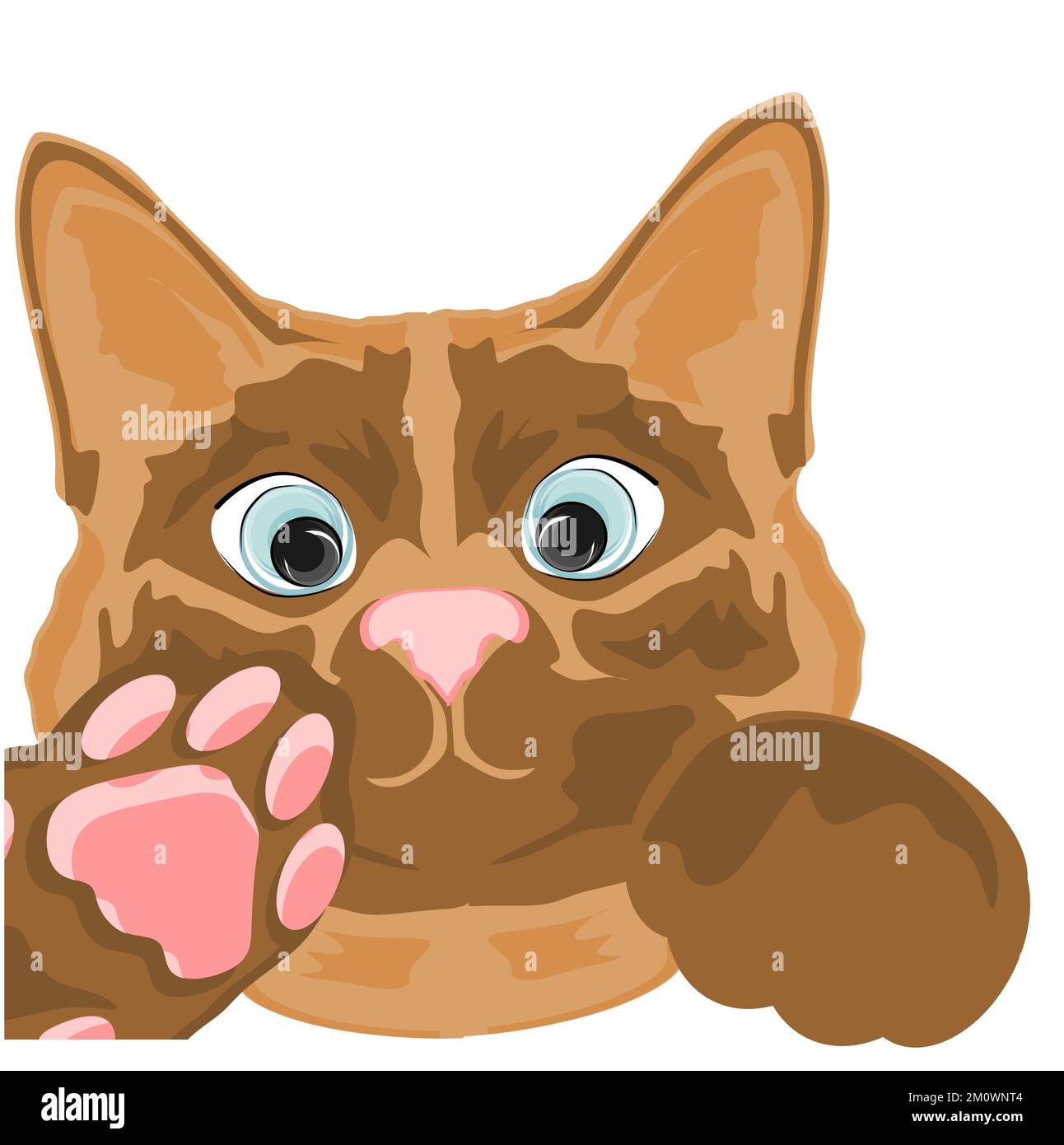 My Image 21