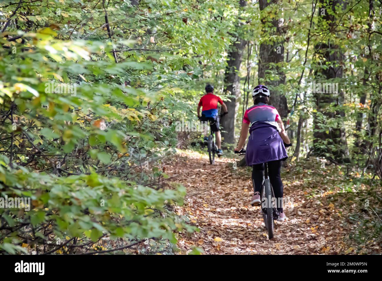 Two active cyclers on their bikes driving through forest in autumn time of the year, healthy life in nature, eco friendly activity Stock Photo