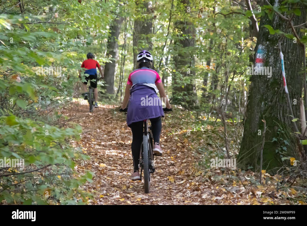 Two active cyclers on their bikes driving through forest in autumn time of the year, healthy life in nature, eco friendly activity Stock Photo