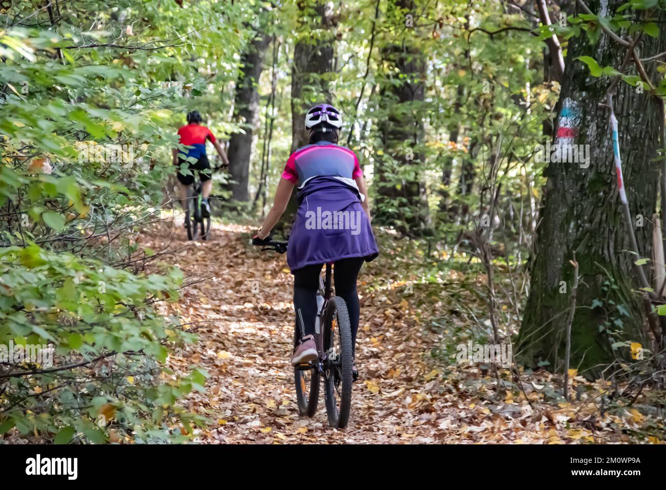 Two active cyclers on their bikes driving through forest in autumn time of the year, healthy life in nature, eco friendly activity Stock Photo