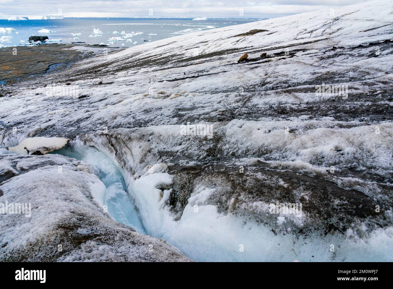 Brown Bluff, Tabarin Peninsula, Weddell Sea, Antarctica Stock Photo - Alamy