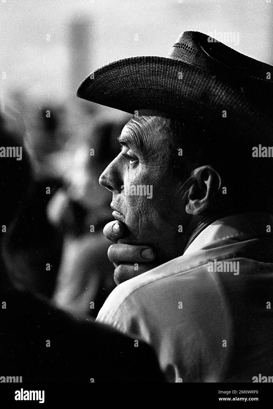 Rodeo in kansas city hi-res stock photography and images - Alamy