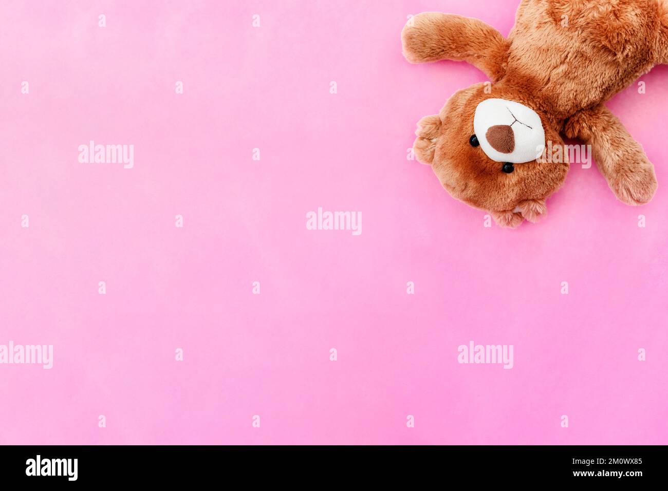 Cute brown teddy bear on pink backdrop Stock Photo