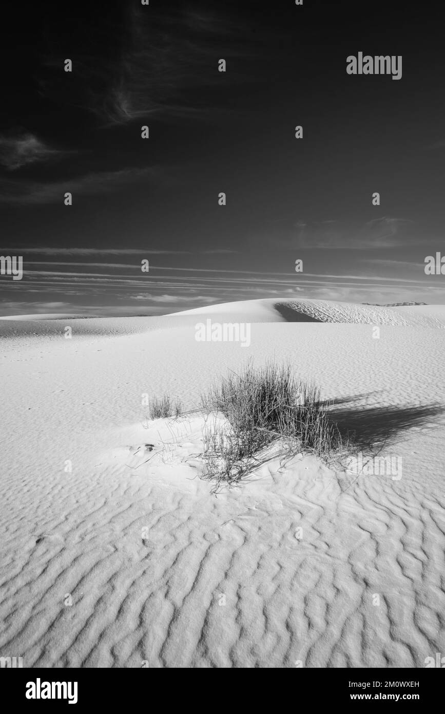 Photograph from White Sands National Park, near Alamogordo, New Mexico, USA on a beautiful