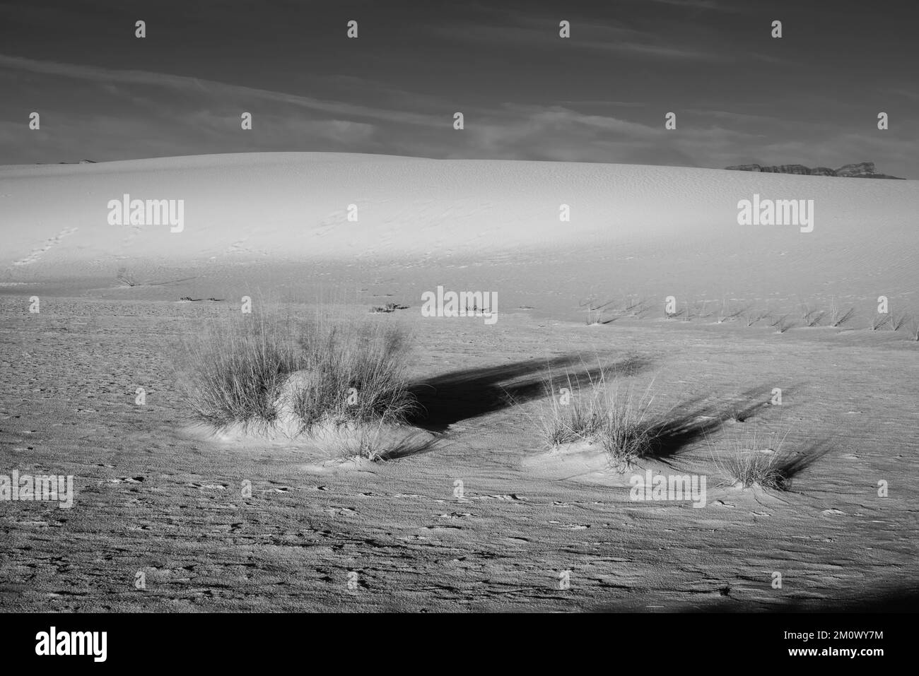 Photograph from White Sands National Park, near Alamogordo, New Mexico, USA on a beautiful