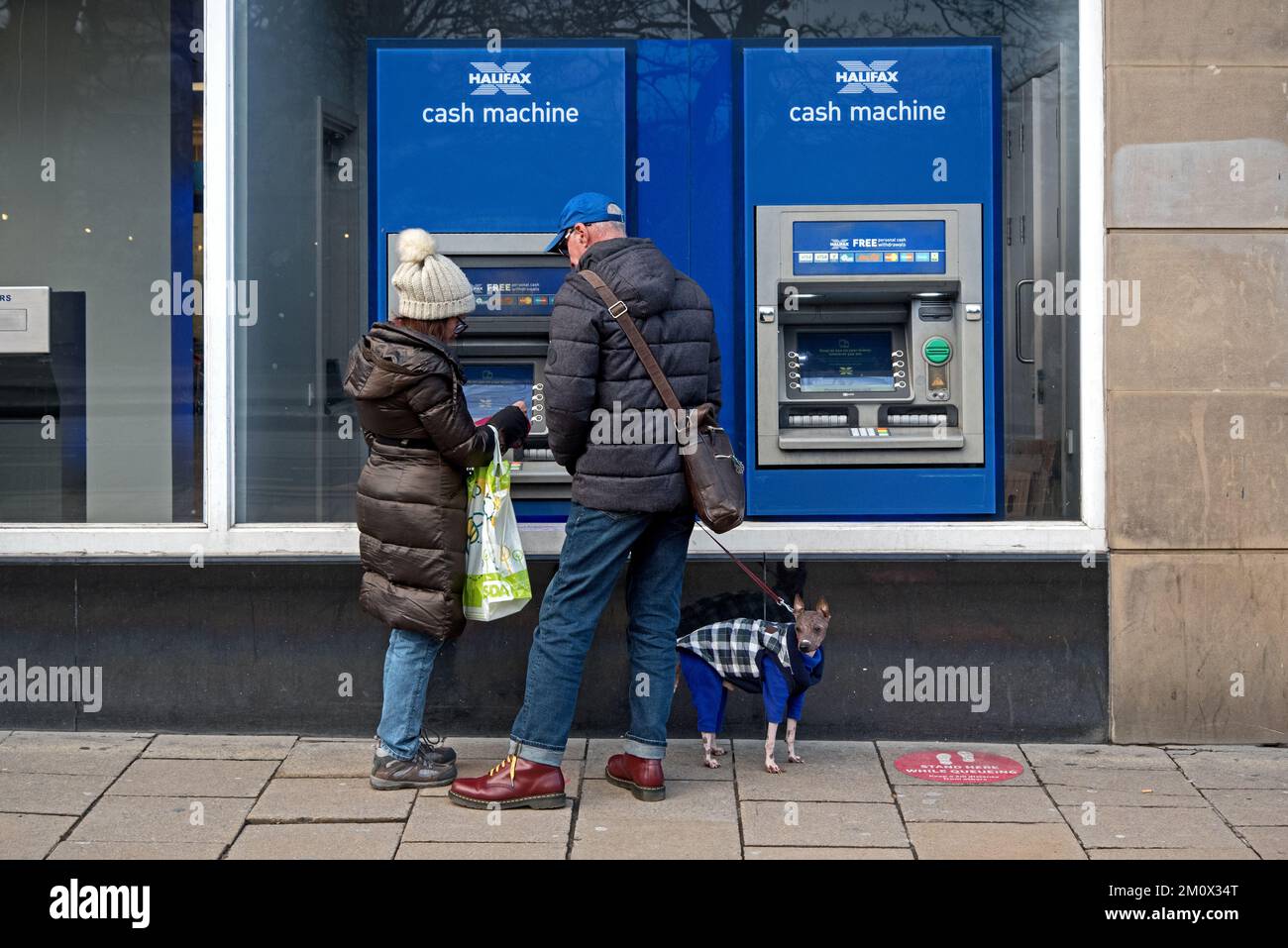 Couple with a dog wearing a coat at a Halifax Bank cash machine on Princes Street, Edinburgh, Scotland, UK. Stock Photo