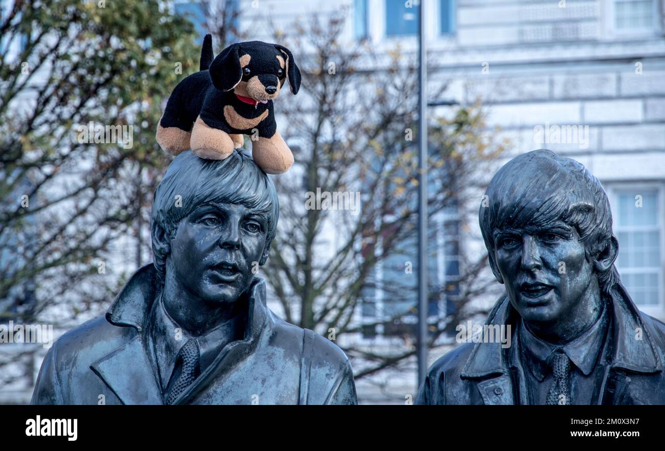 Toy puppy on statue of Paul McCartney's head. Stock Photo