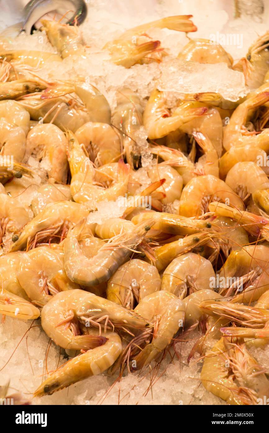 Raw shrimp with head, fresh and ready to cook Stock Photo - Alamy