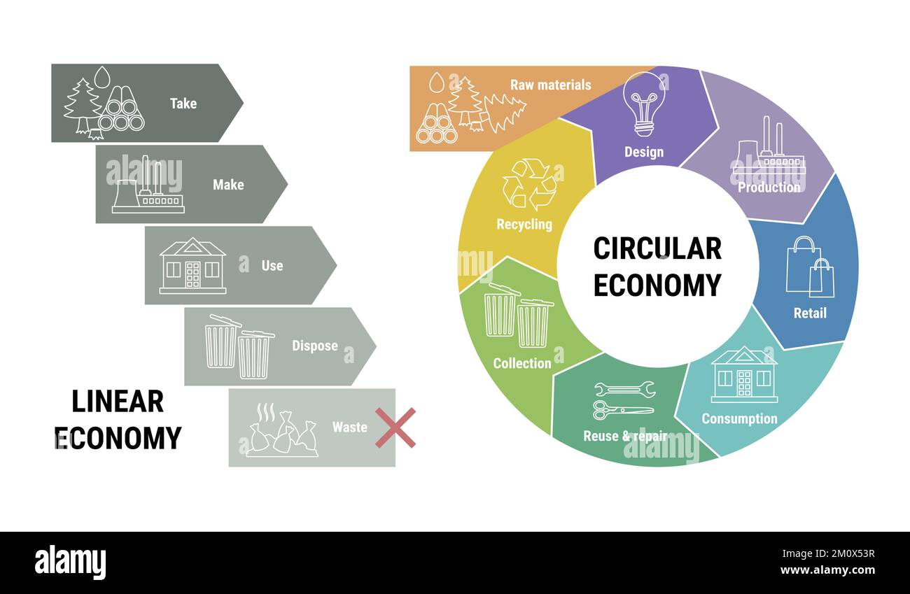 Comparison of linear and circular economy infographic. Scheme of