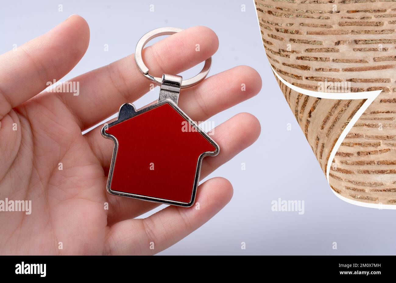 Hand holding a house icon in hand on a background Stock Photo