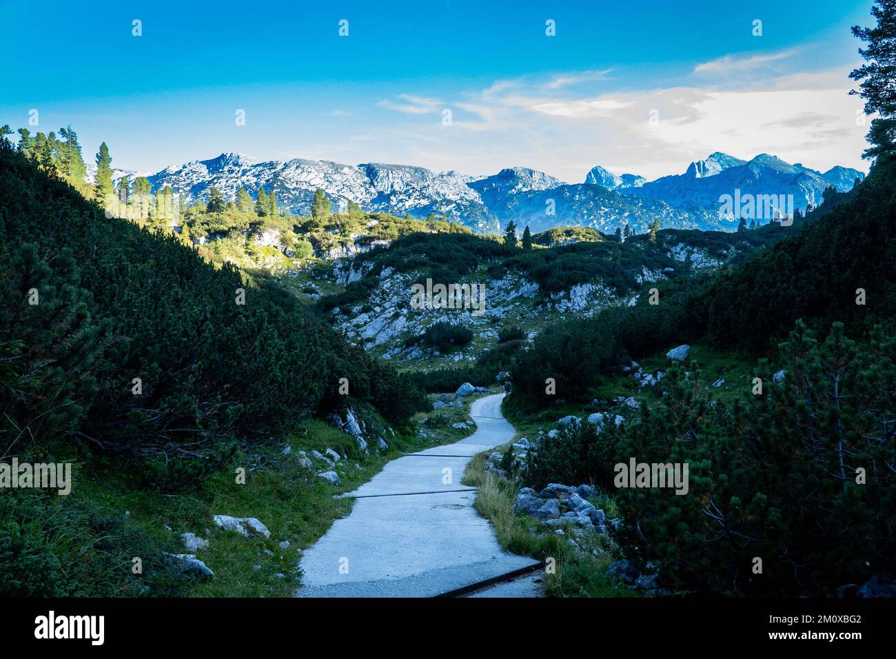 A beautiful shot of a walking trail near the rocky Reiteralpe, Bavaria, Germany Stock Photo