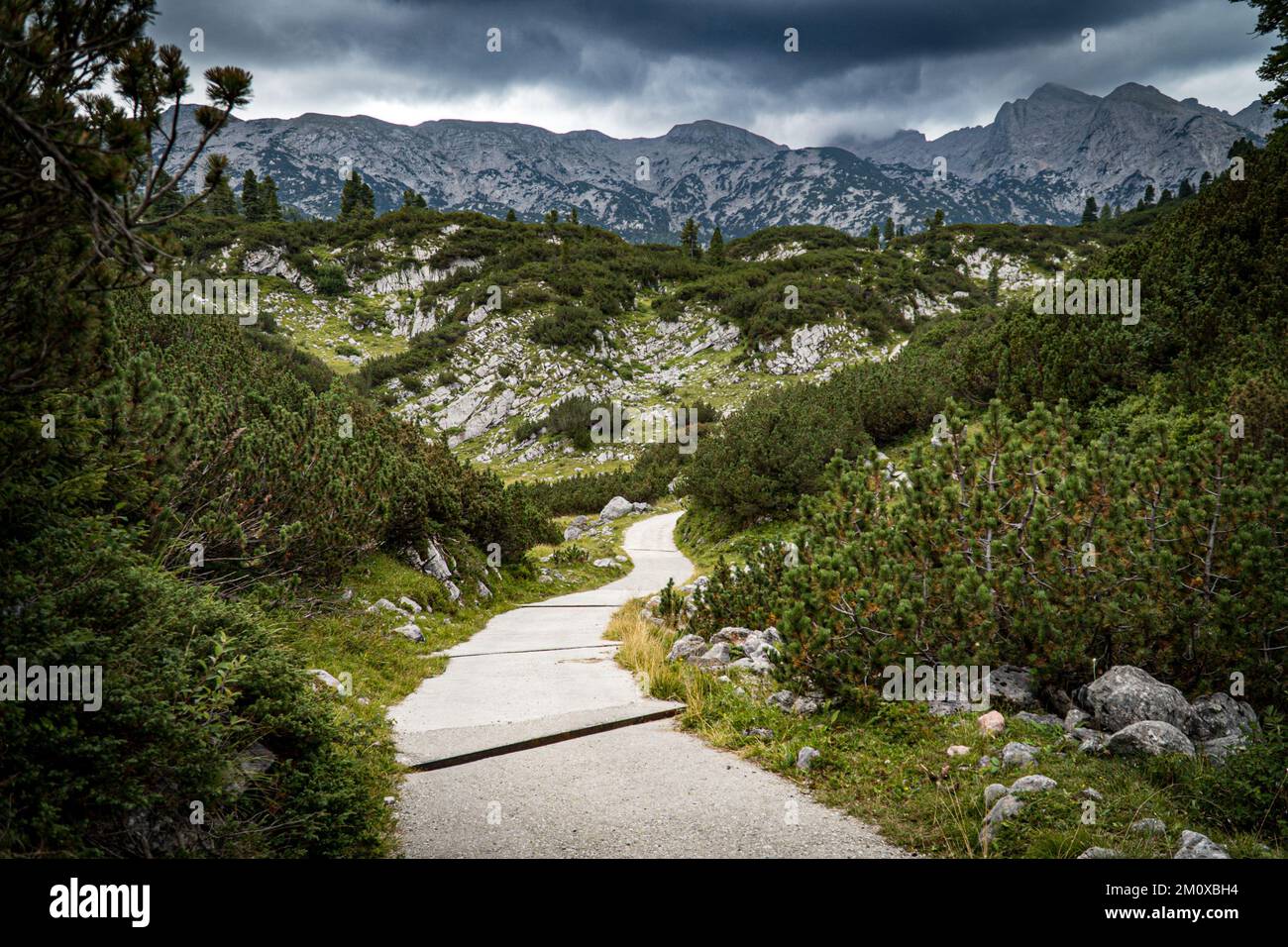 A beautiful shot of a walking trail near the rocky Reiteralpe, Bavaria, Germany Stock Photo