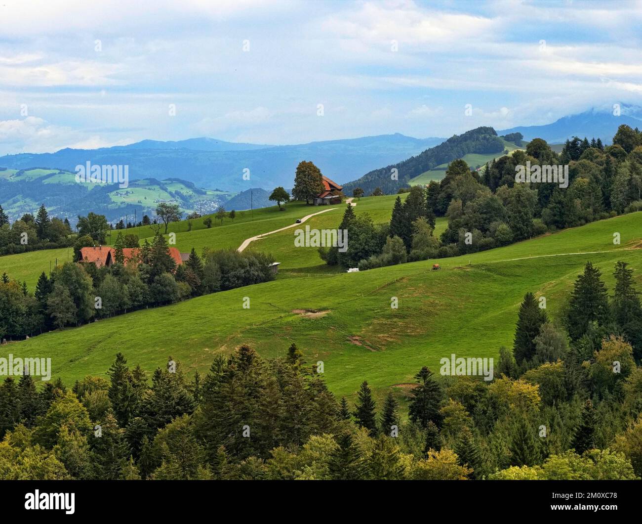 Alpine pasture and wooded slopes in the mountain landscape of the