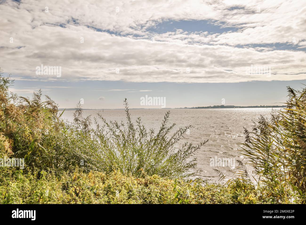 the ocean with clouds in the sky and some plants on the ground near the water, as seen from an overlook point Stock Photo