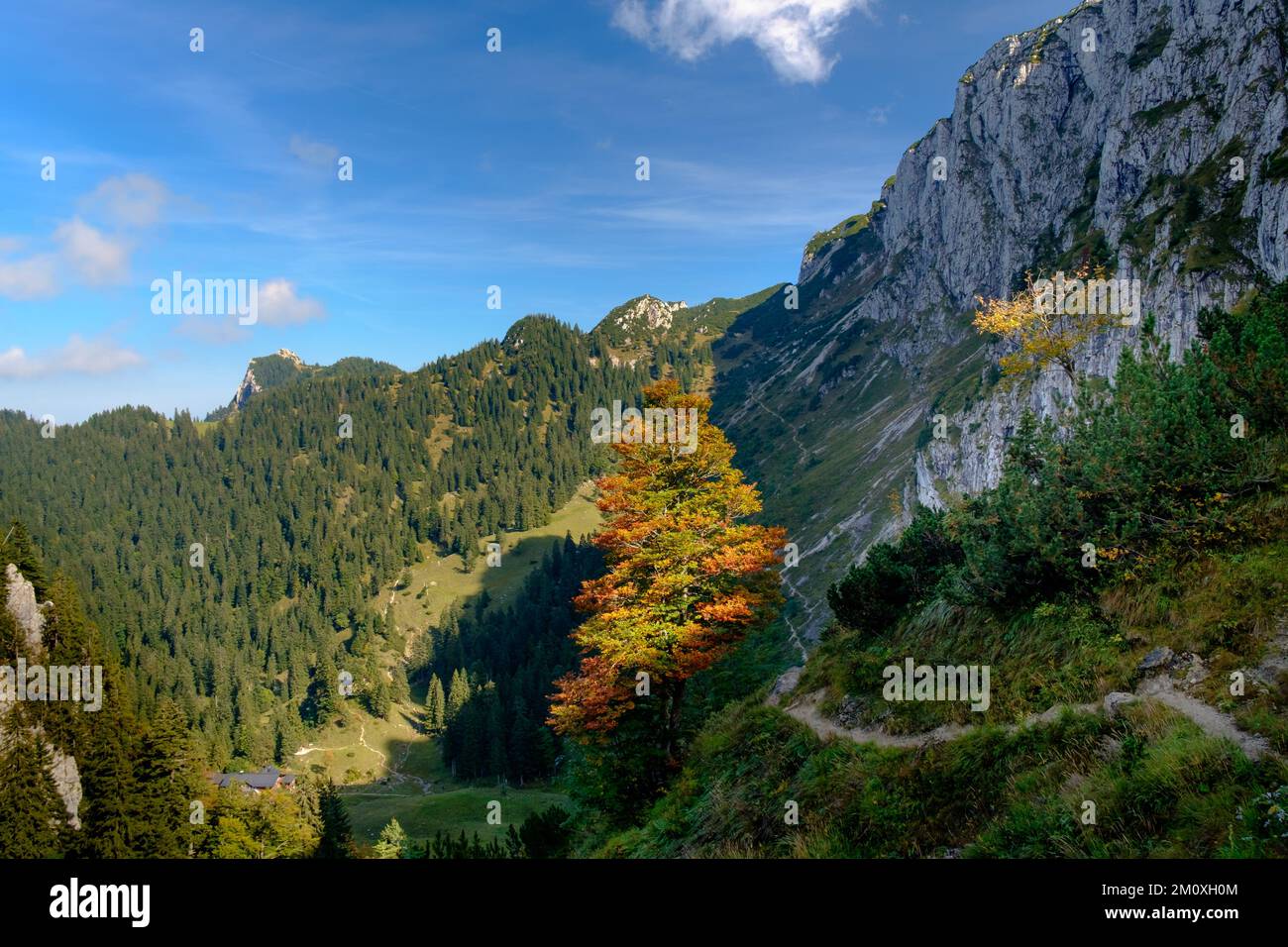 Herbstlandschaft am Fuße der Benediktenwand Stock Photo
