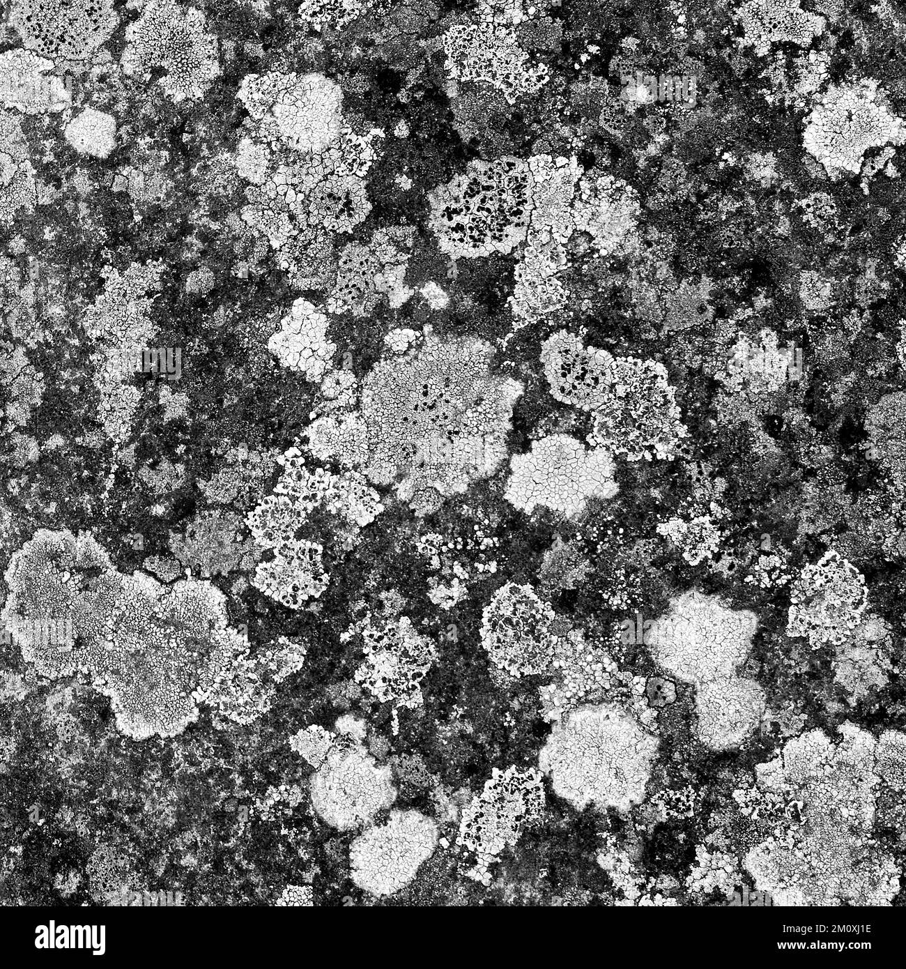 Coastal impressions of Estuary and beach, Menai Straits by the town of