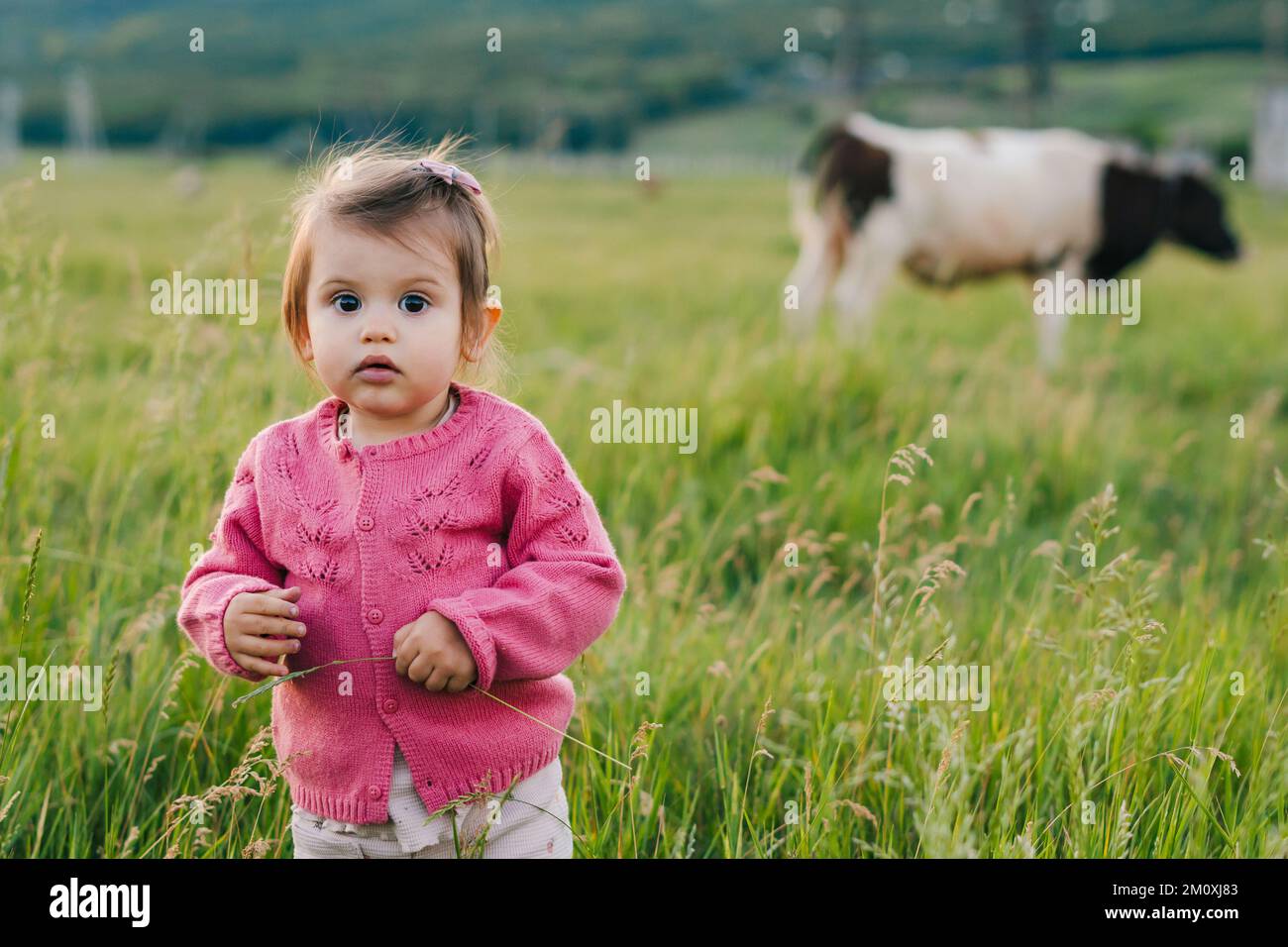 Caucasian baby girl standing on grassy field looking curiously at the camera. Copy space. Kid exploring nature. Stock Photo
