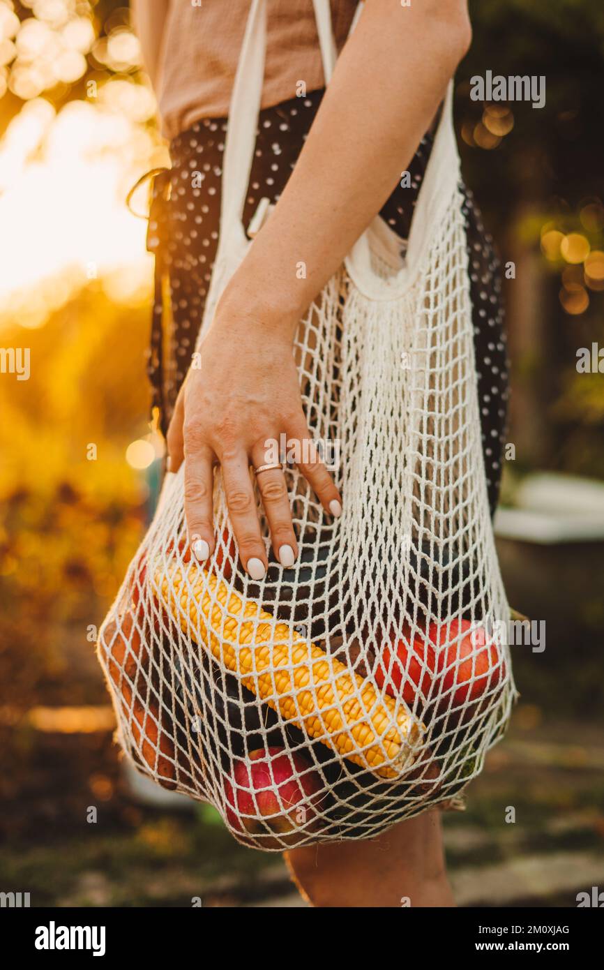 Woman arm holding a string shopping bag with vegetables, in warm earthy tones, zero waste. Healthy nutrition garden food. Food concept. Stock Photo