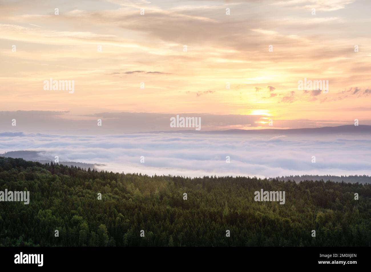 A mesmerizing sunrise over a forest and a blanket of fog Stock Photo ...