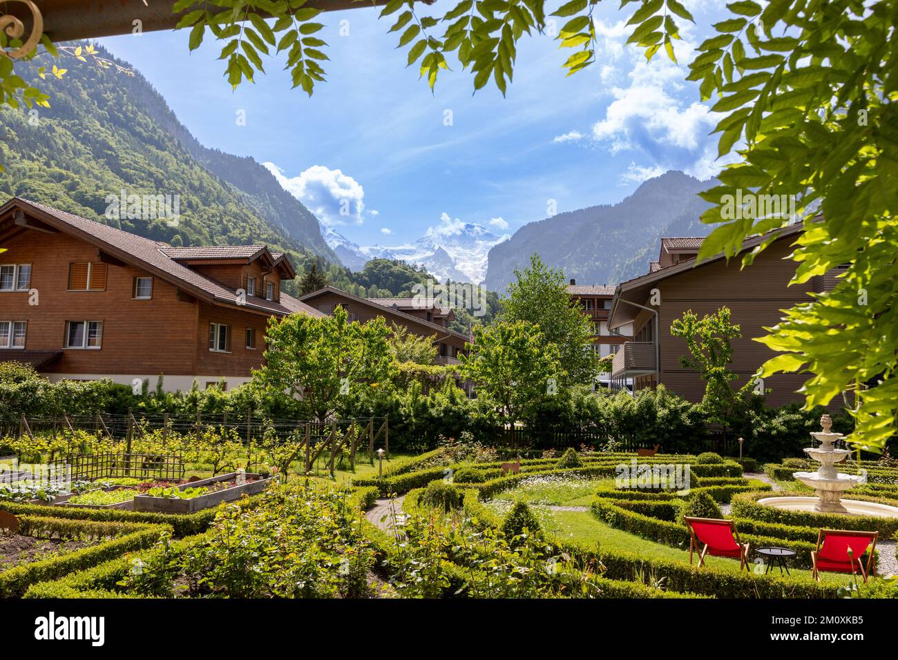 Gardens of the Alpenrose Hotel And gardens with traditional Swiss buildings in the back and the Jungfrau mountain in the far back. Stock Photo