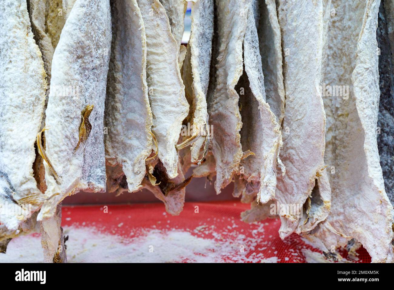Salted dried cod bacalao on the counter of a fish store. Traditional