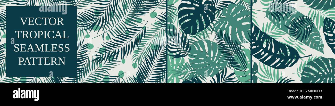 Seamless patterns with tropical exotic plants, palm leaves and monstera, vector botany composition in green colors, set 3 Stock Vector
