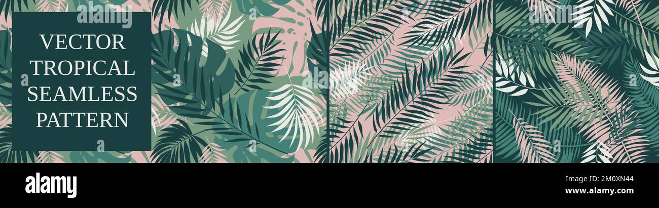Seamless patterns with tropical exotic leaves and plants, vector botany ...