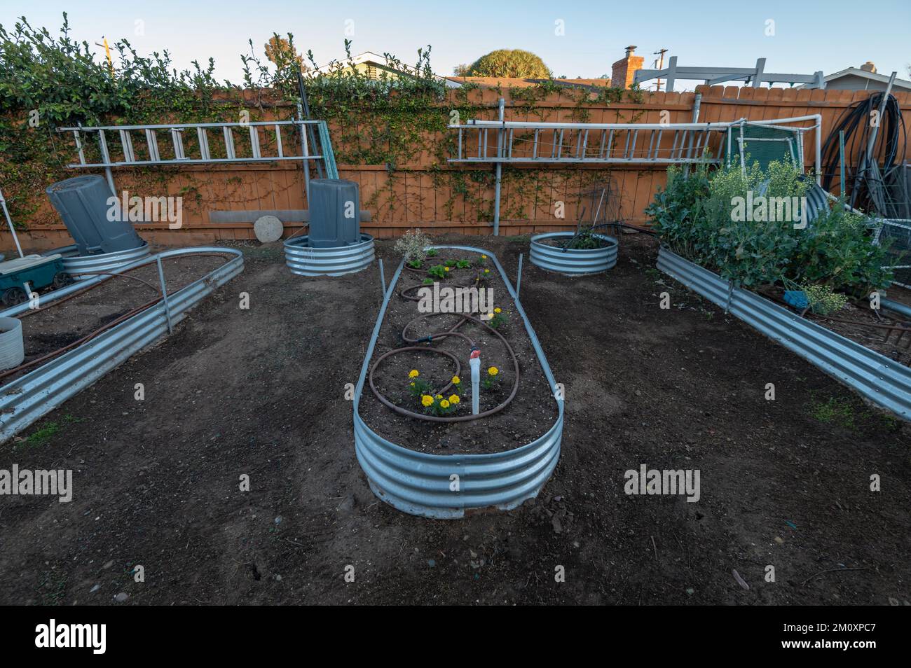 Raised garden beds in a backyard.  Stock Photo