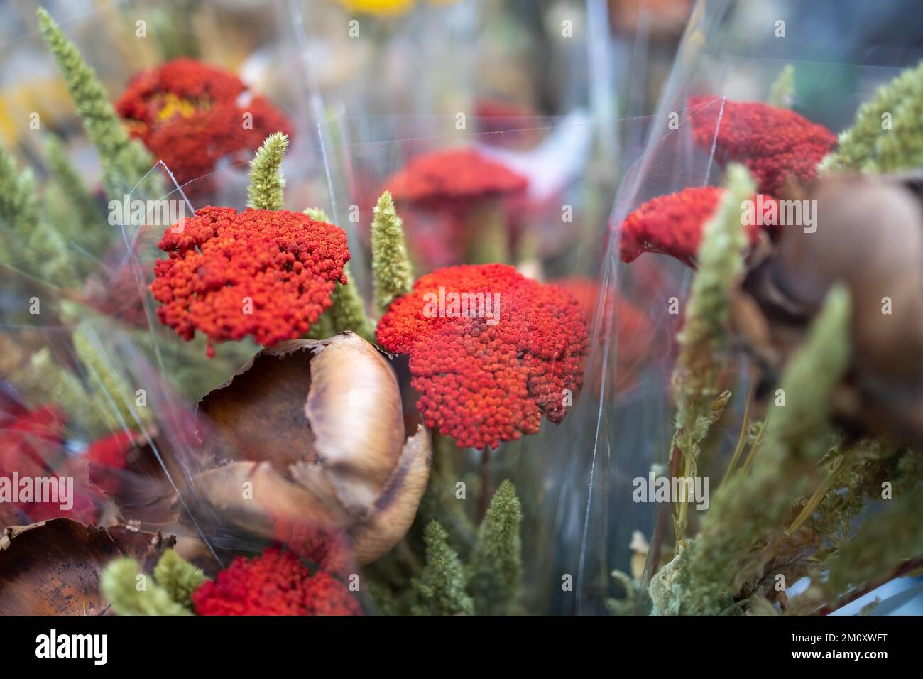 red painted yarrow in bouquets for various occasions and decoration Stock Photo