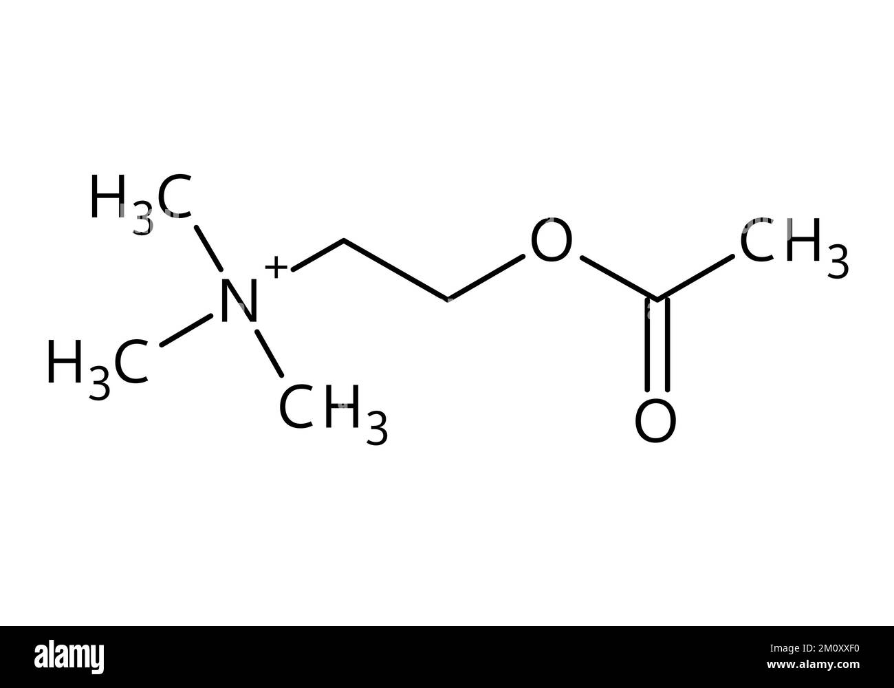 Acetylcholine molecular structure. Acetylcholine is neurotransmitter
