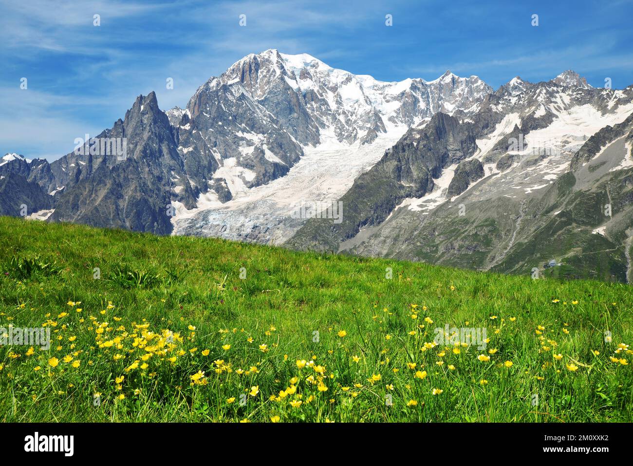 Mont blanc range spring flower hi-res stock photography and images - Alamy
