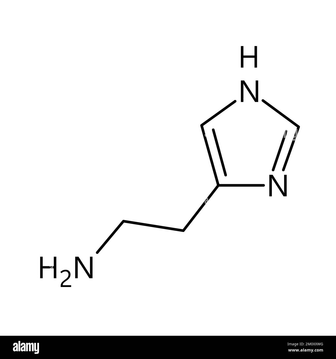 Histamine molecular structure. Histamine is organic compound involved