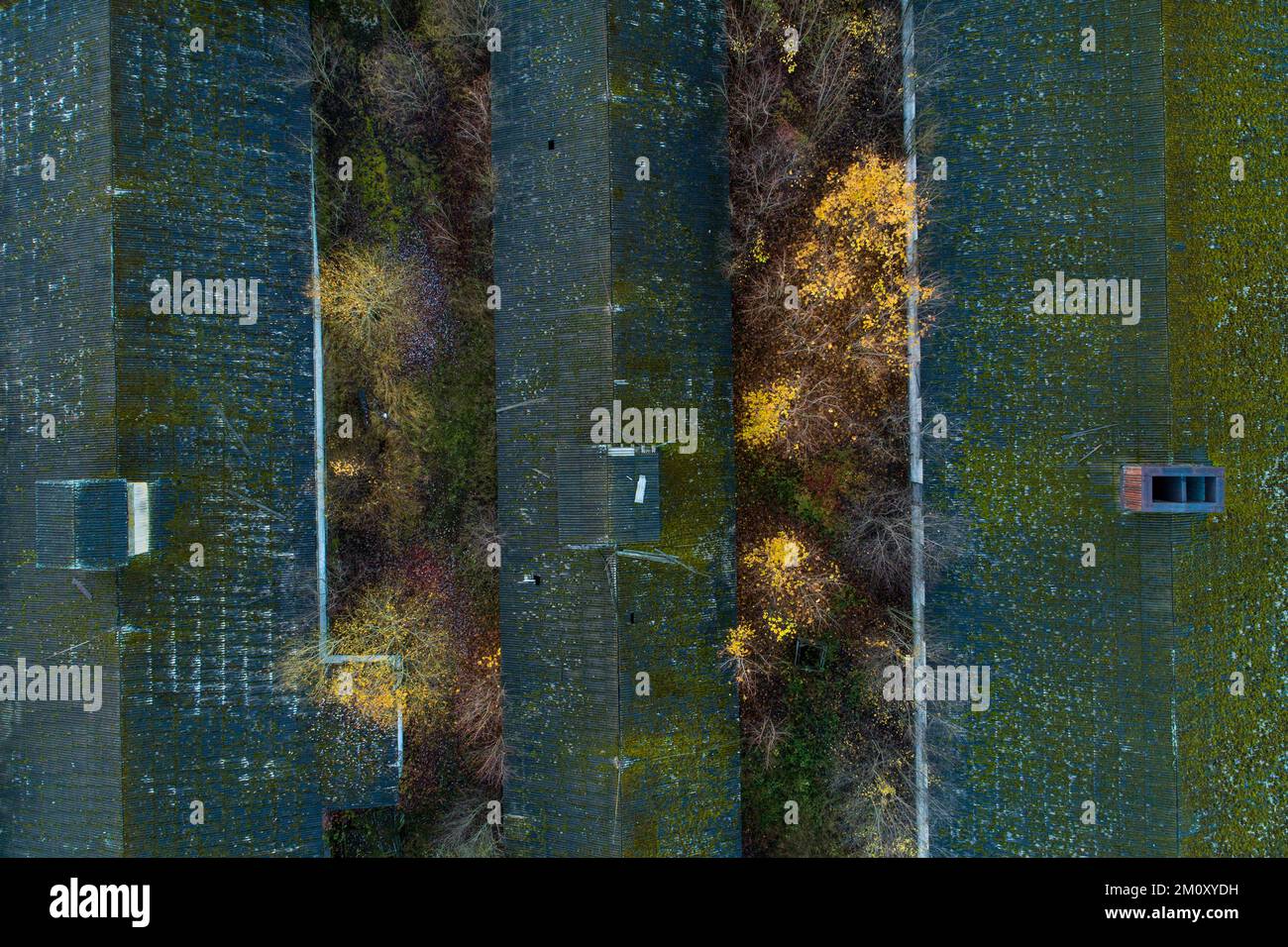 An aerial of nature slowly taking over abandoned Soviet-era farm complex in Estonia, Northern Europe Stock Photo