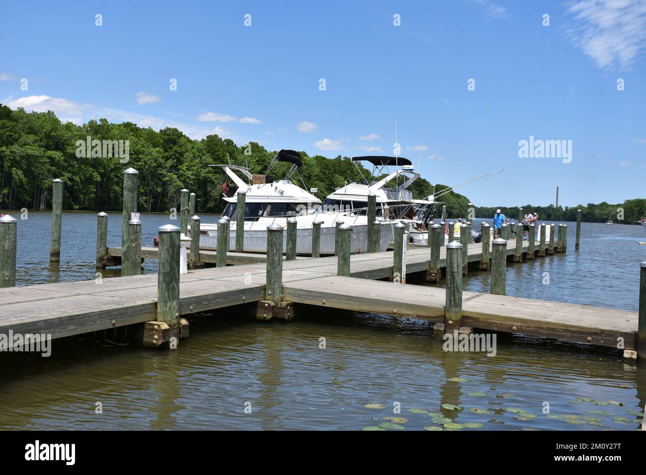 Boats in the Marina in Plymouth North Carolina Stock Photo Alamy