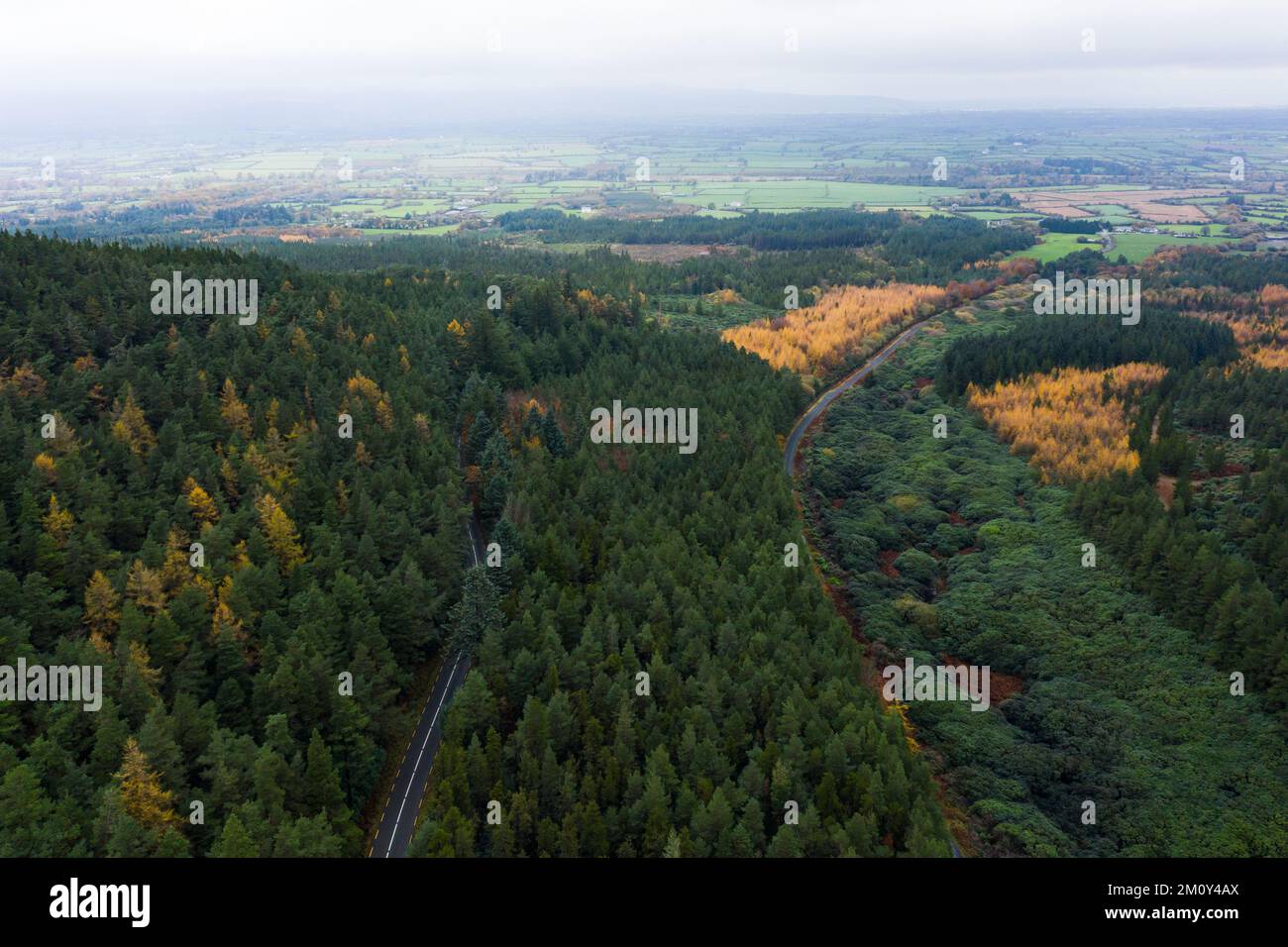 Aerial top view of two forest roads in the Clogheen mountains with the camera panning up, Tipperary, Ireland. Stock Photo
