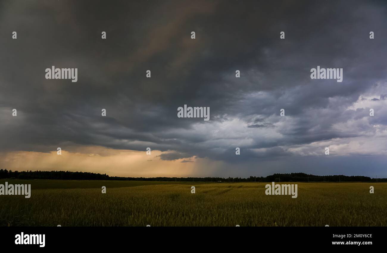 The beginning of a summer storm. A rush of clouds, a stream of rain, a thunderstorm, a storm. In the fields. Stock Photo
