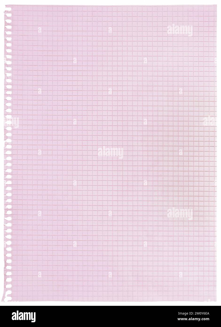 Checked spiral notebook page paper background, old aged isolated pink chequered ring binder sheet flat lay A4 copy space, vertical squared pattern Stock Photo