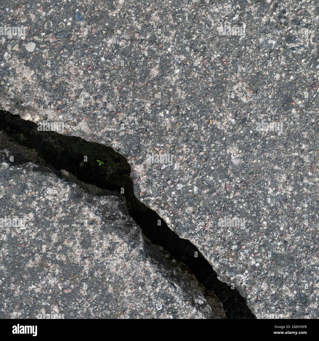 Old aged weathered cracked grey black tarmac texture pattern, large detailed damaged textured asphalt grungy background flat lay, tiny green leaves Stock Photo