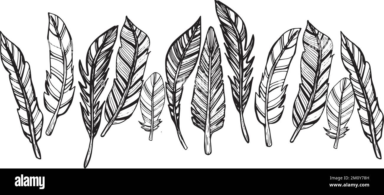 Abstract Feather Drawings