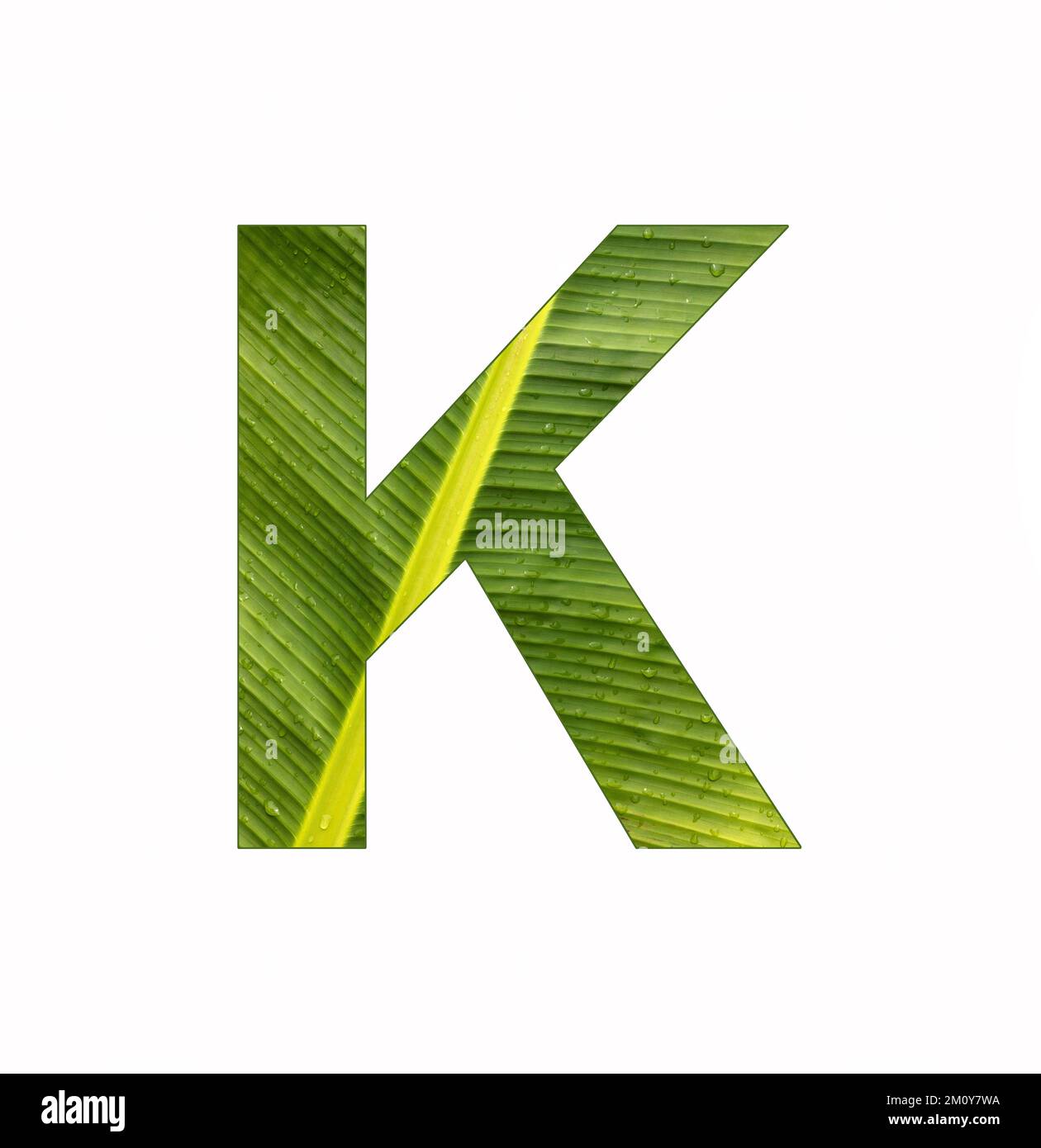 Alphabet Letter K - Banana plant leaf background Stock Photo