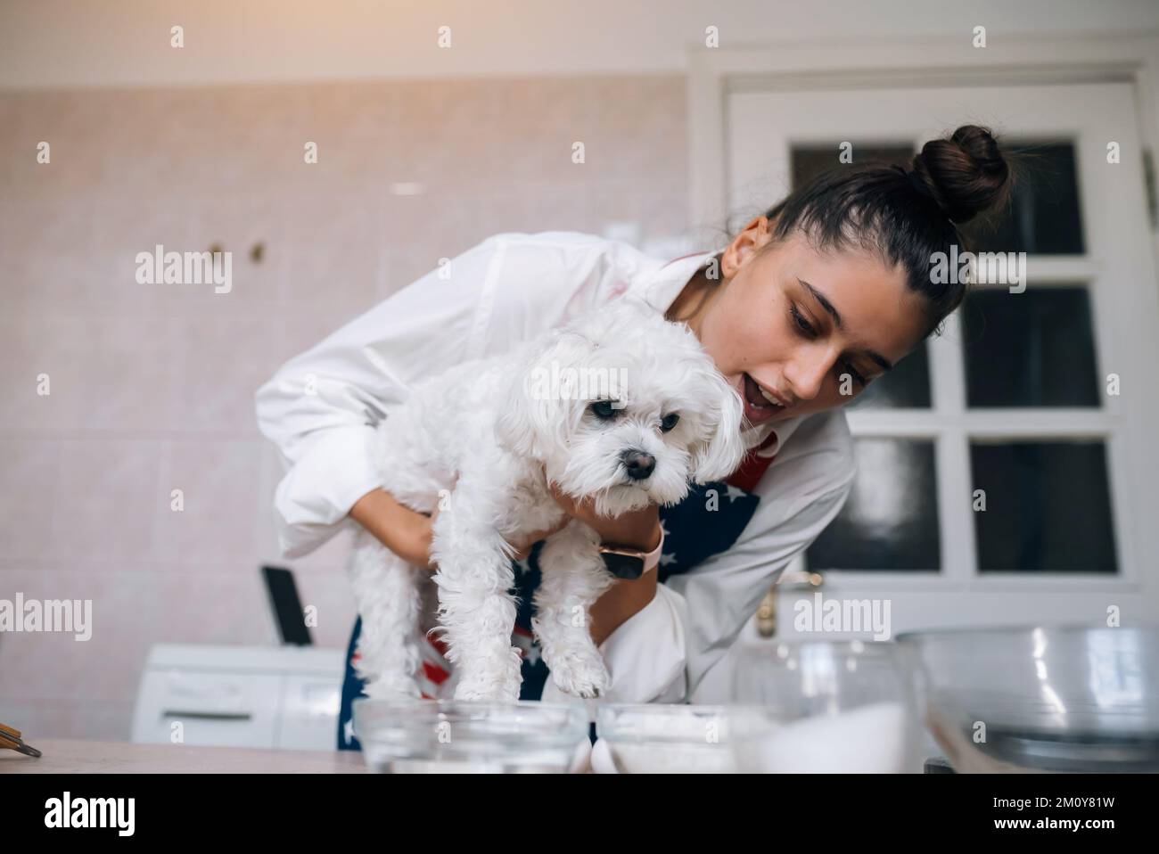 Smiling young woman in the kitchen holding a cute white Maltese dog Stock Photo