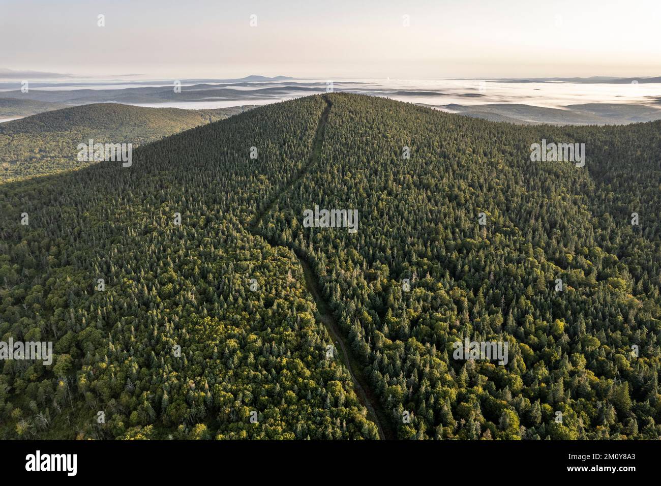 USA Canada border crosses a wooded mountain near Woburn, Quebec Stock Photo