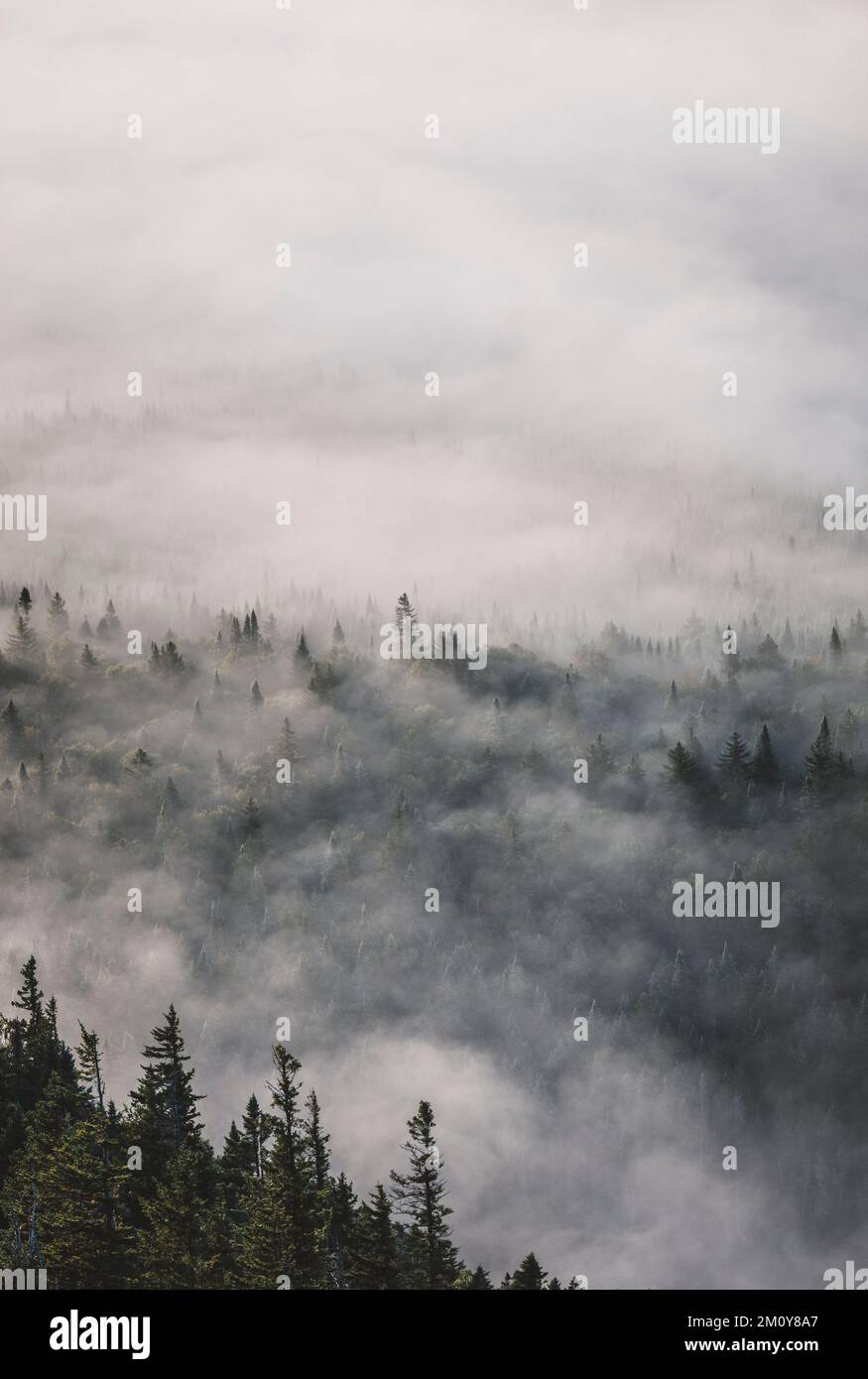 Lost in mist scenery hi-res stock photography and images - Alamy